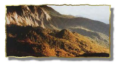 ɽ.JPG (17337 bytes)